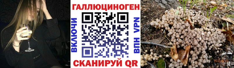 Псилоцибиновые грибы GOLDEN TEACHER  mega рабочий сайт  Гаджиево  цены  
