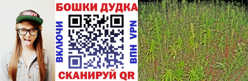 Бошки марихуана ГИДРОПОН  Гаджиево 